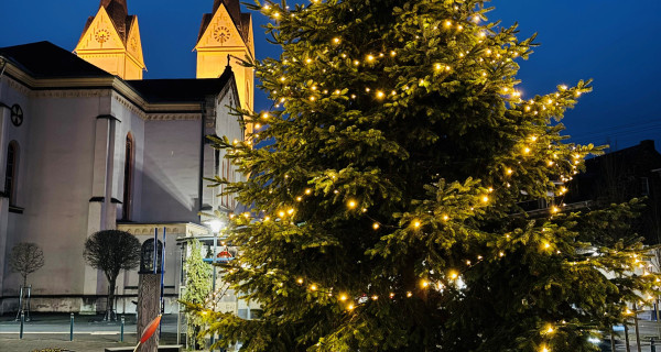Weihnachtsbaum