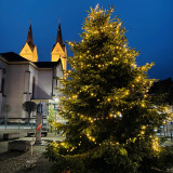 Weihnachtsbaum 2026 f&uuml;r den Polcher Marktplatz gesucht